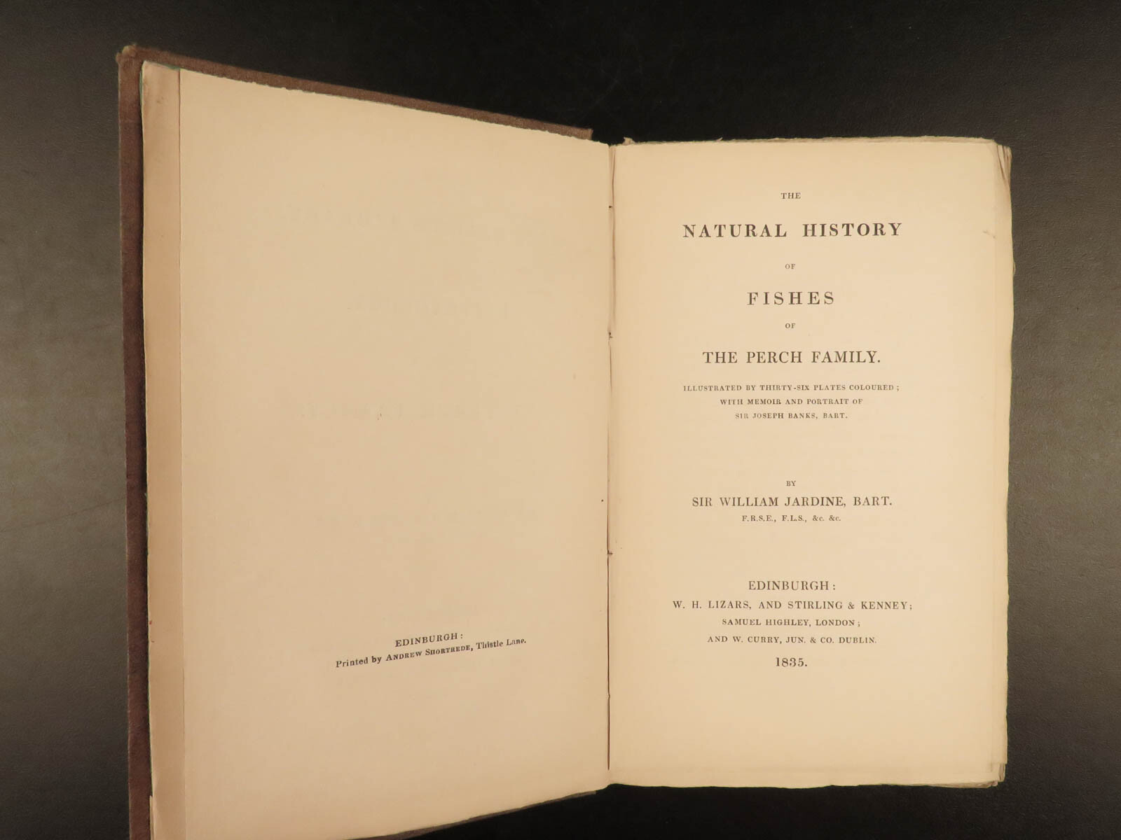 1835 Jardine Naturalist FISH Ichthyology Perch Black Bass Hawkfish FISHING