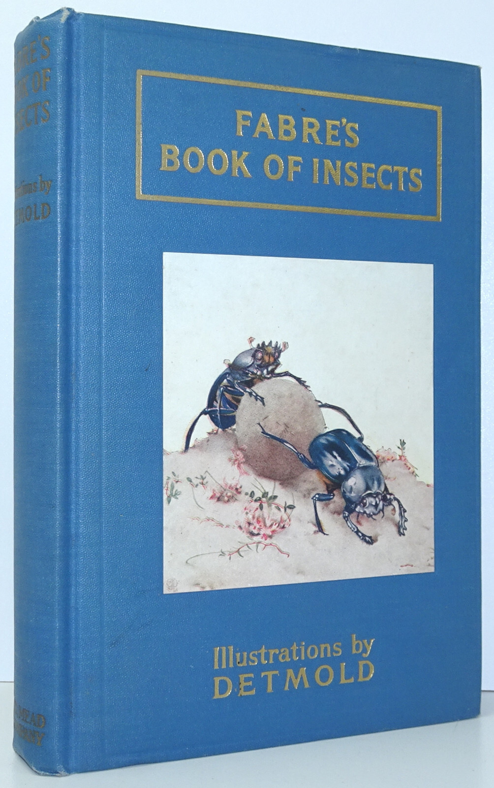 Fabre’s Book Of Insects MRS RODOLPH STAWELL DETMOLD Entomology 1927