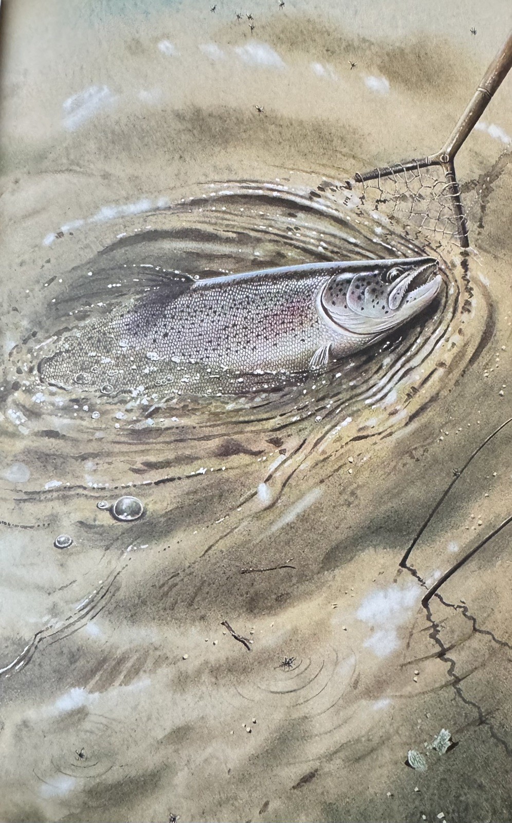 Split-Cane & Sable, Robin Armstrong, 1st 1988, Chalk stream salmon trout fishing