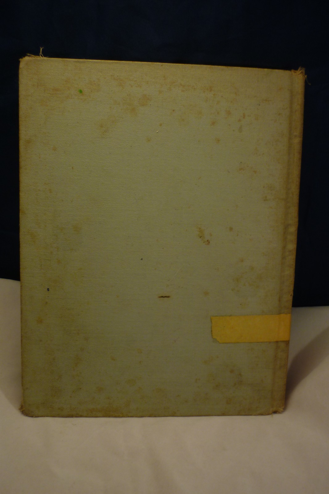 Donkey Beads, 1938 First Edition, Albert Whitman, Color Illustrations