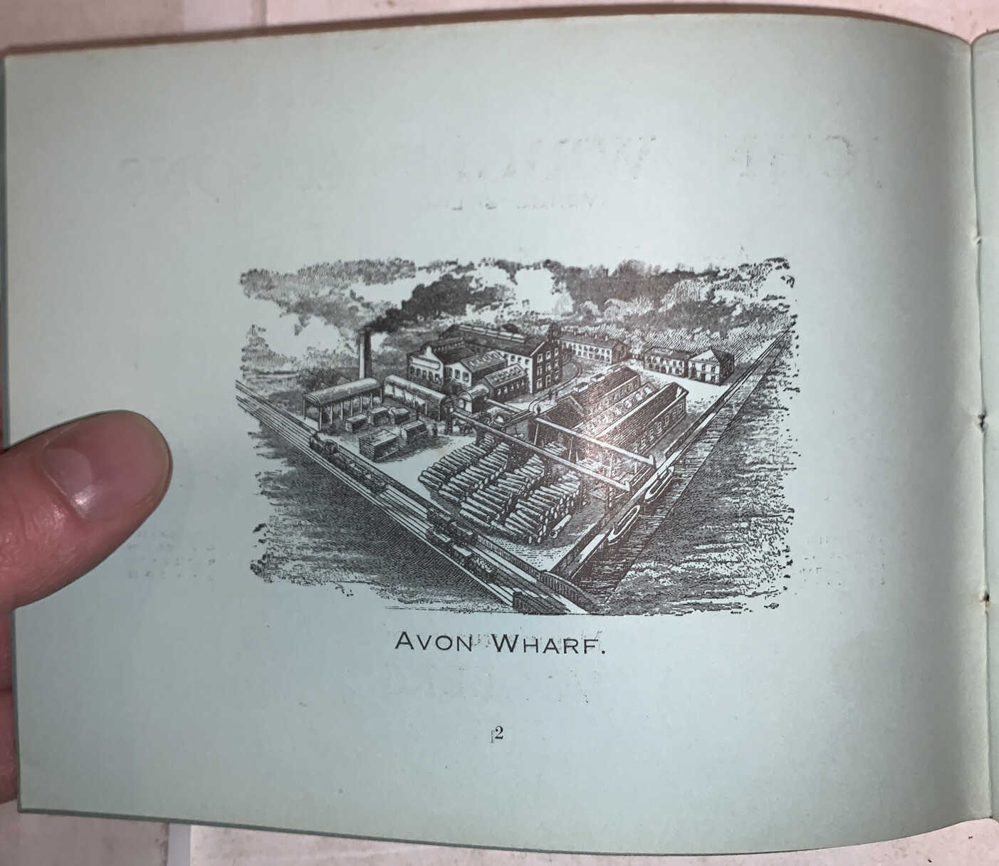A VENEER IN MAKING, by LESLIE C W JENKINS, 1930s, WOODWORKING, LUMBER