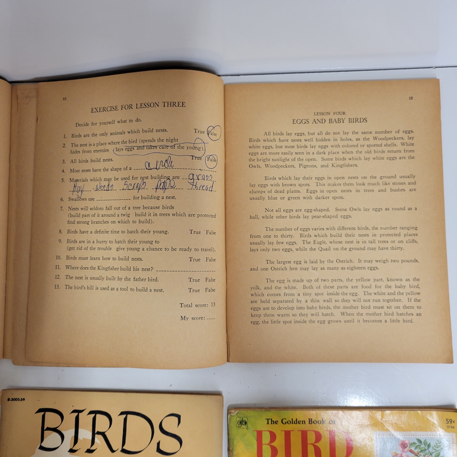 VTG Lot Of 4 Birds Activity Books 1, 2, 3 1938 1954 & Golden Book Of Bird Stamps