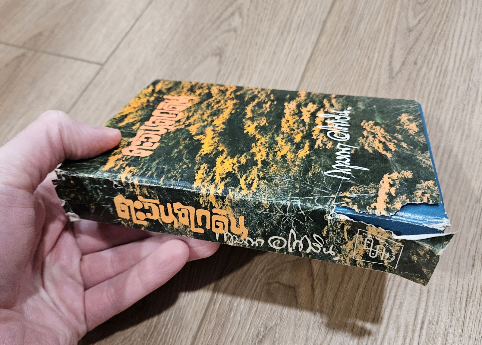 5x Vintage Thai Language Novels ?????????? (Sunset) and ??????? (Raba Man) 1970s