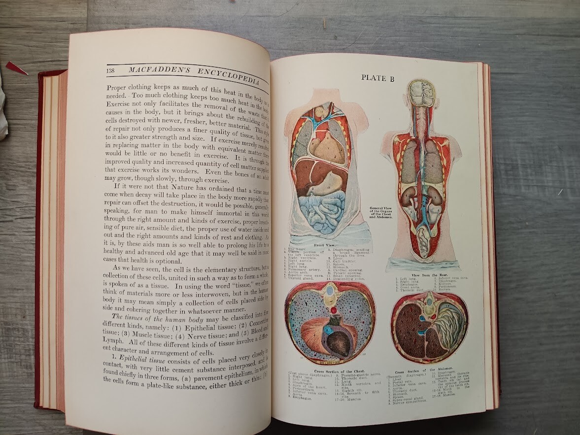 1924 Bernarr Macfadden’s Encyclopedia of Physical Culture, illustrated