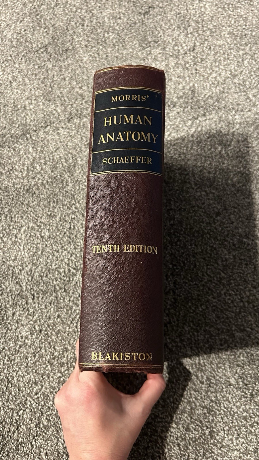 Human Anatomy Hardcover Book – Vintage Medical Text, Detailed Illustrations