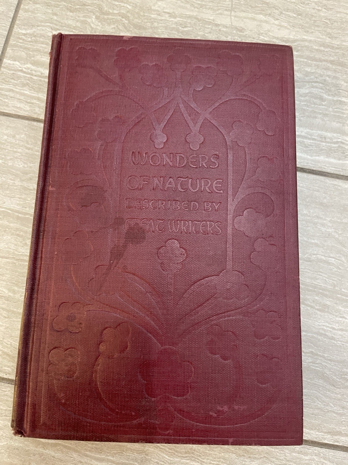 P. F. Collier & Son Esther Singleton 1911 Illustrated Hardcover Turrets Towers …