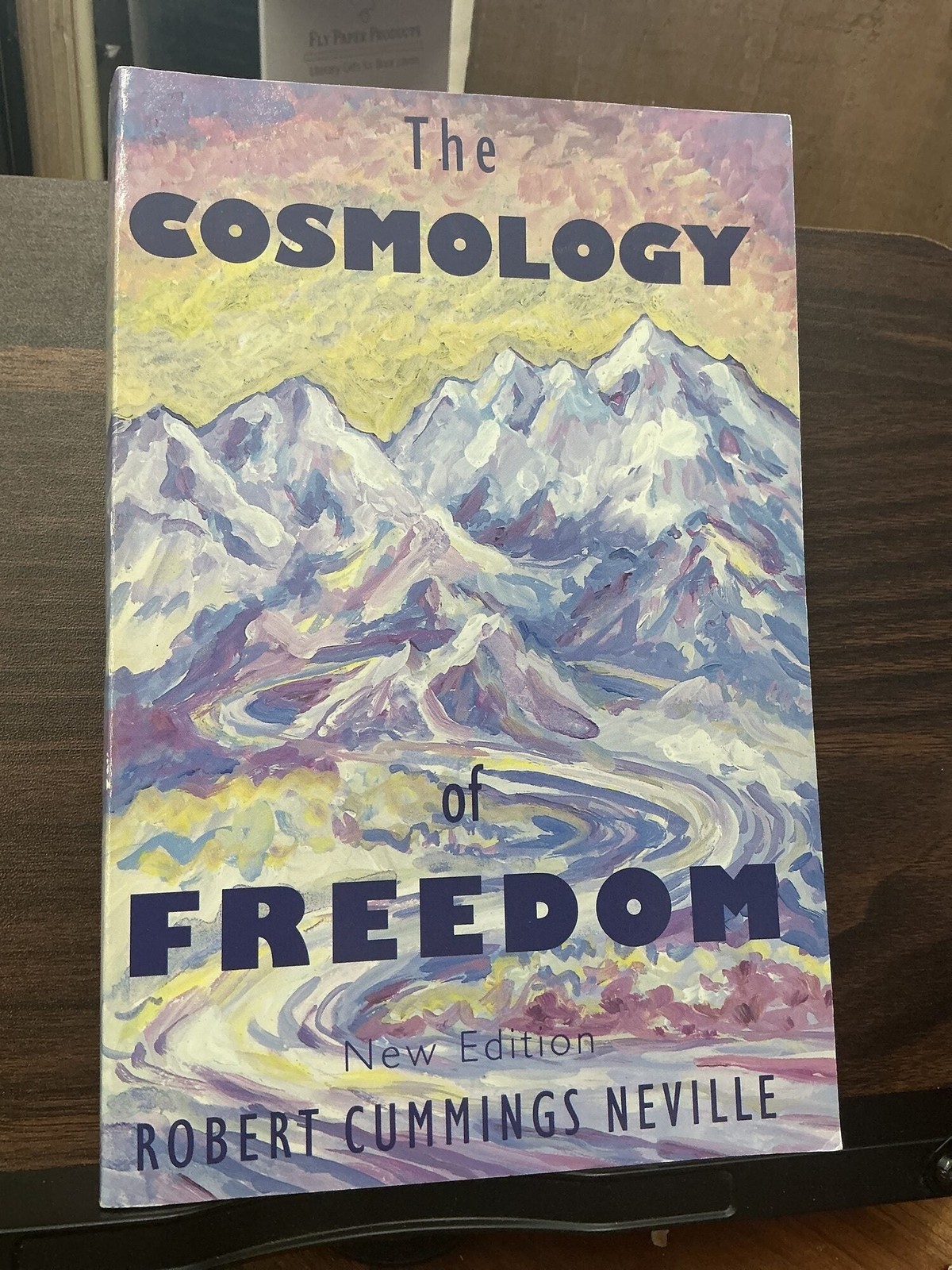 Robert Cummings Neville / The Cosmology of Freedom 1st Edition 1995