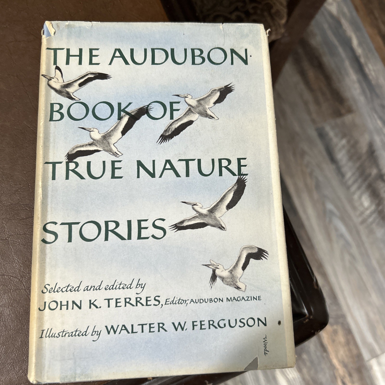 The Audubon Book Of True Nature Stories John Terres 1958 Hardcover Book Club Ed.