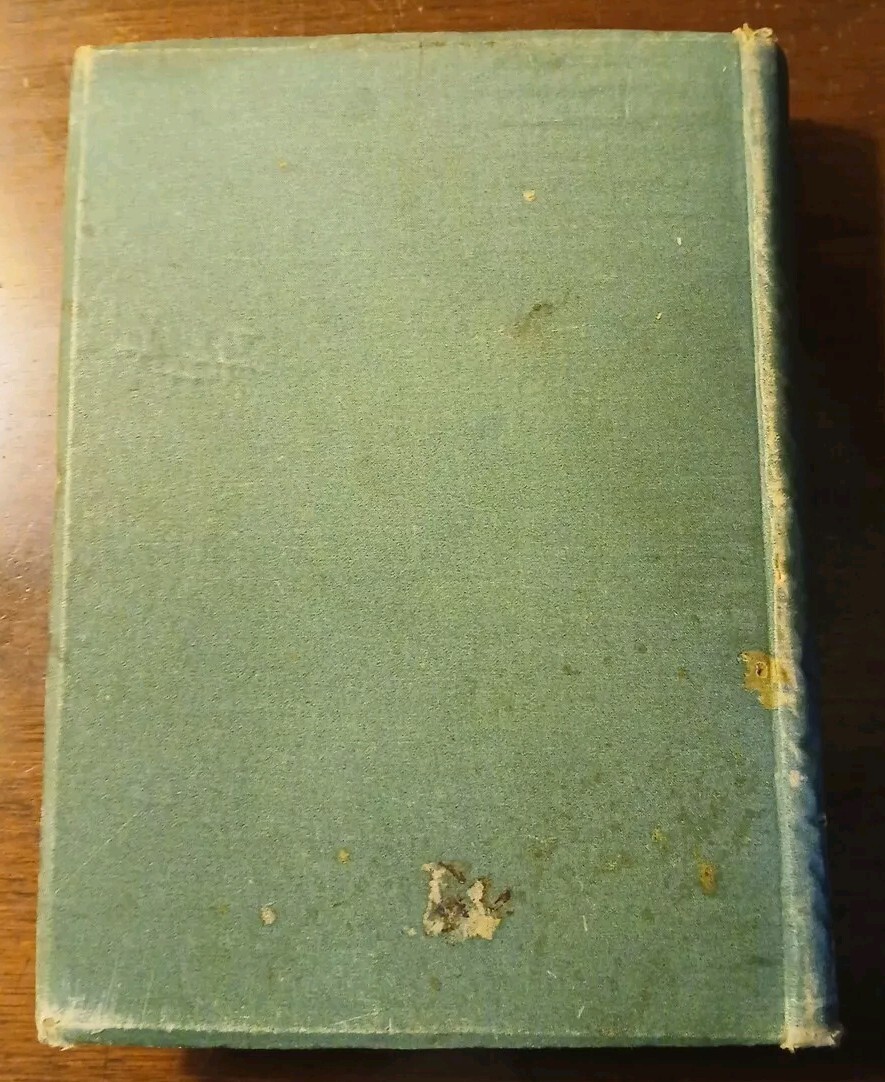 A Family Flight – 1881 France Germany Norway Switzerland Rev. E.E. & Susan Hale
