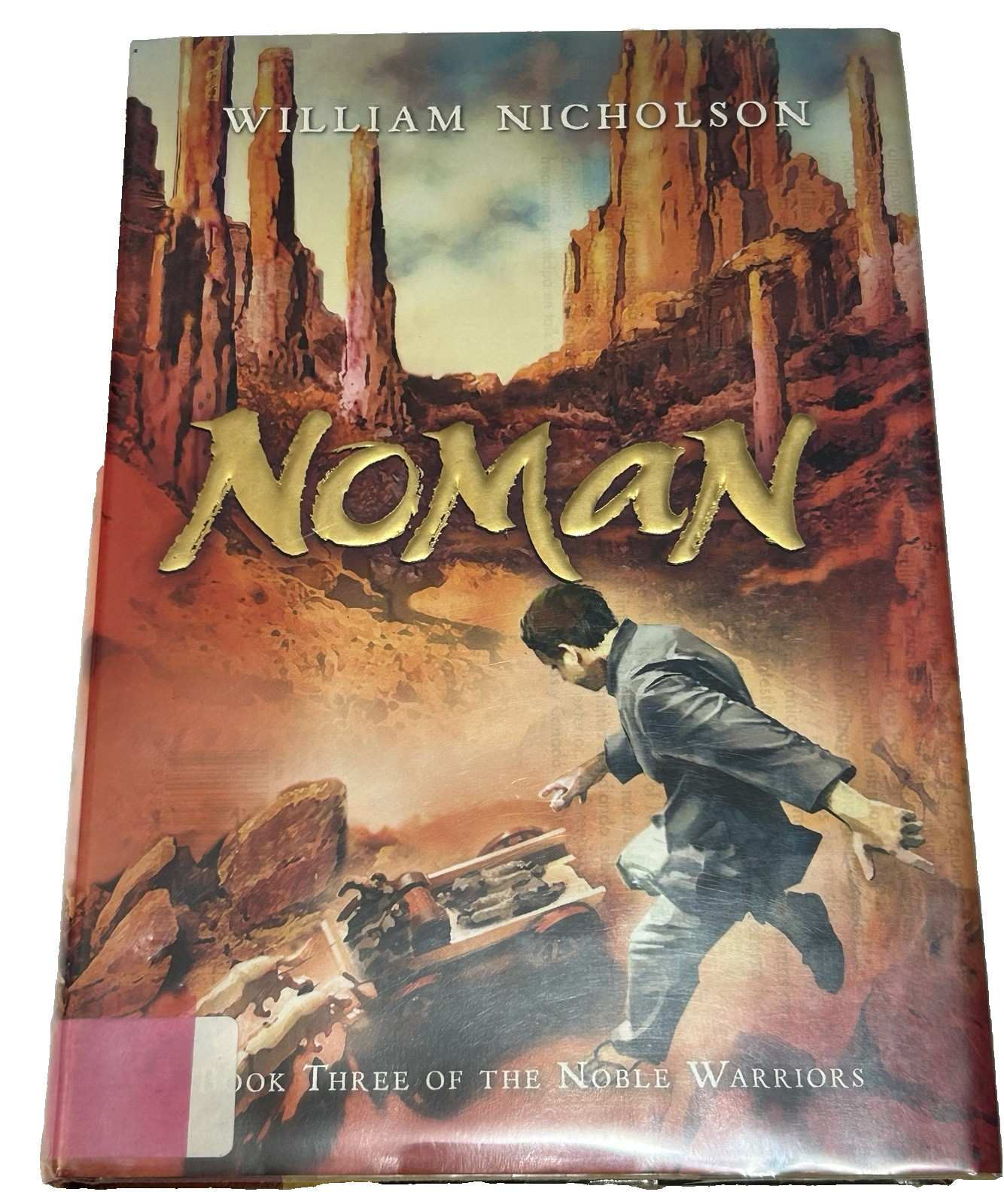 NOMAN by William Nicholson – 1st US Edition 2008 Hard Cover Dust Jacket Library
