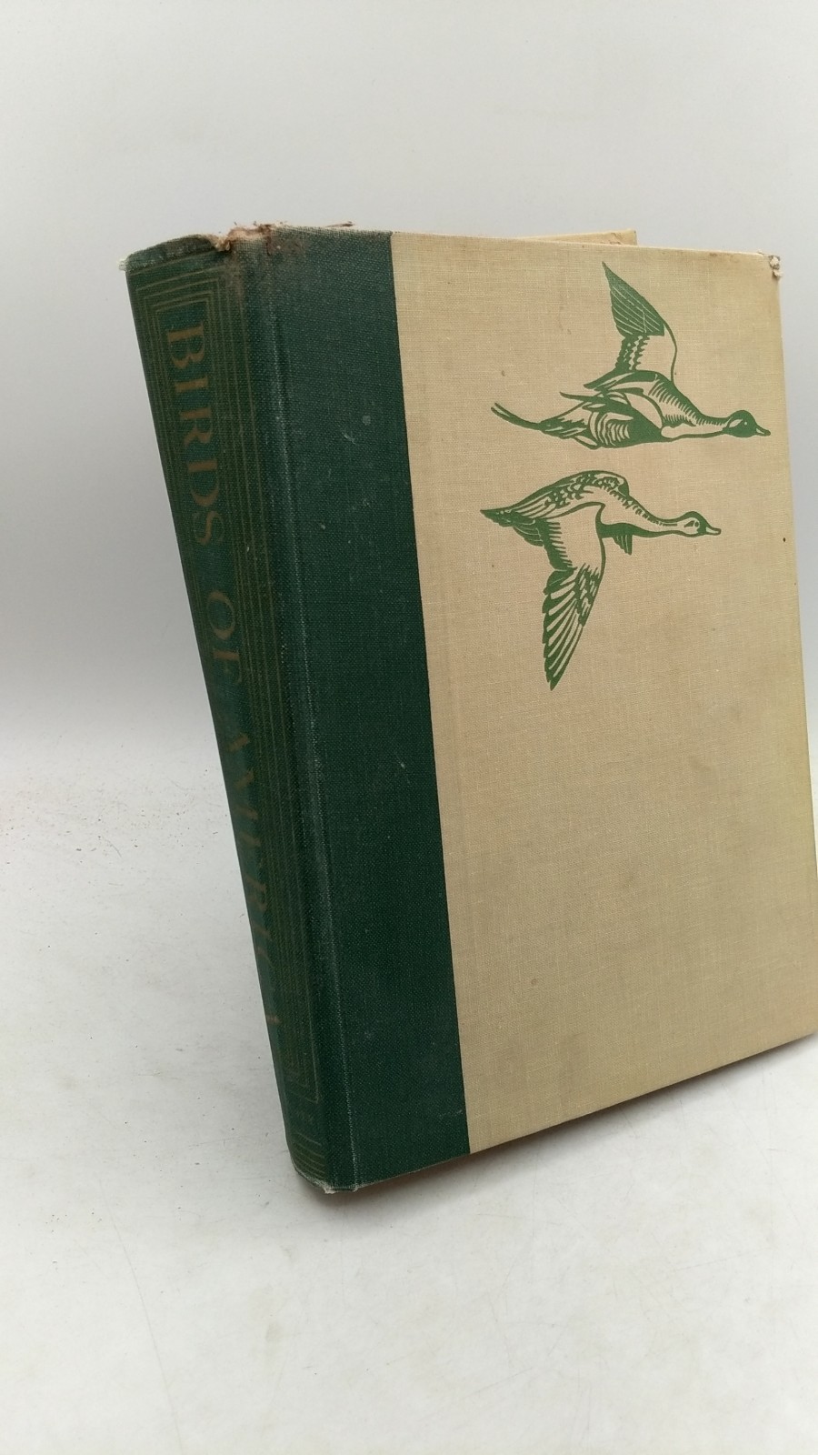 Birds of America T. Gilbert Pearson (Editor-in-Chief) Hardcover 1936