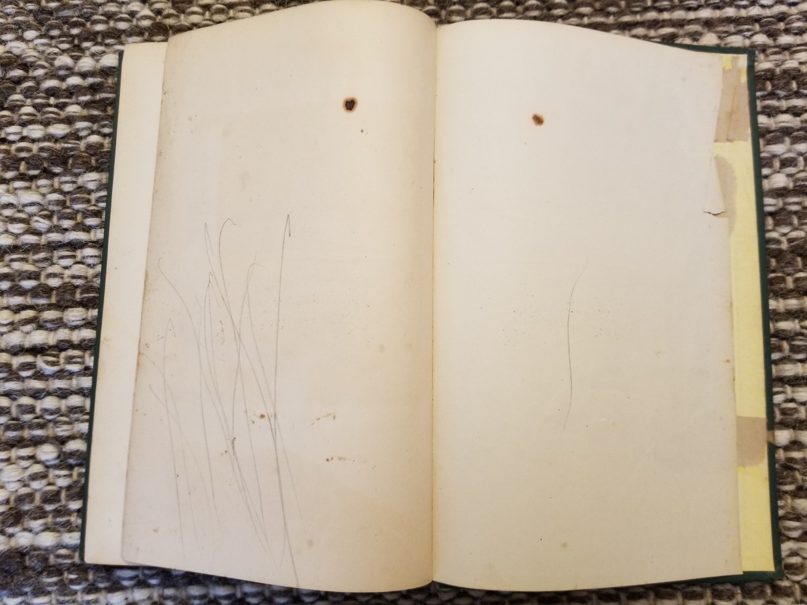 The Daughter of an Empress L. Muhlbach Translated by Nathaniel Greene HC 1867