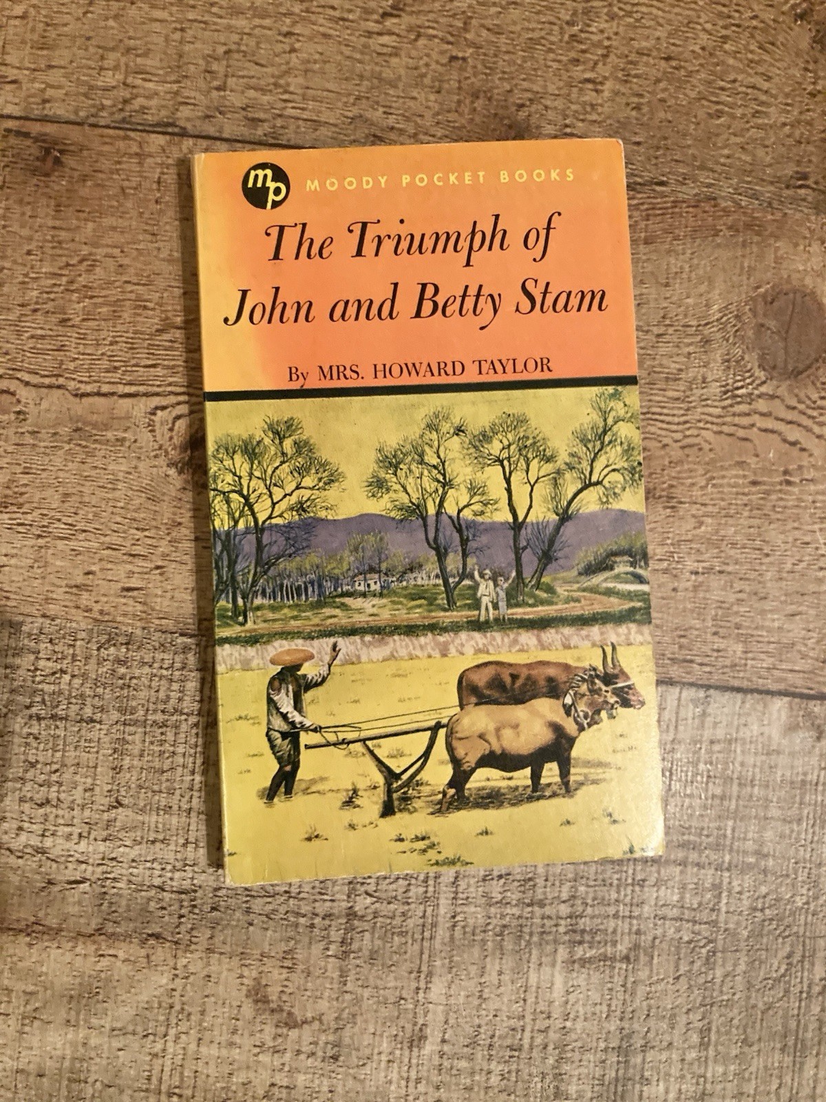 The Triumph of John and Betty Stam by Mrs. Howard Taylor 1935 / paperback