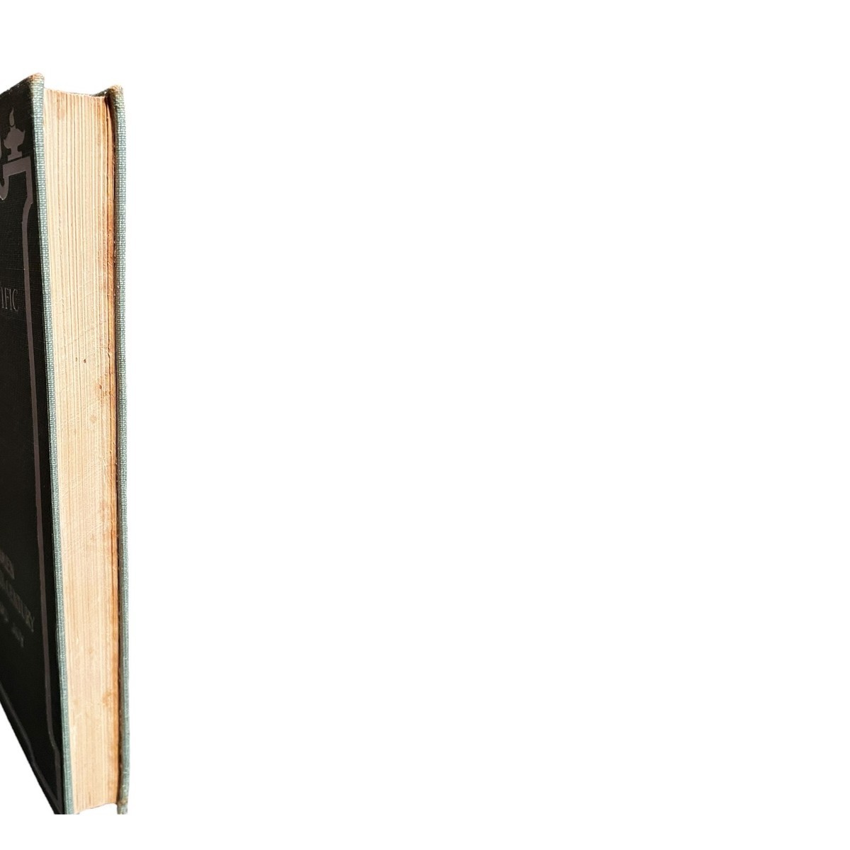 Ten Englishmen of the Nineteenth Century Hardcover Book