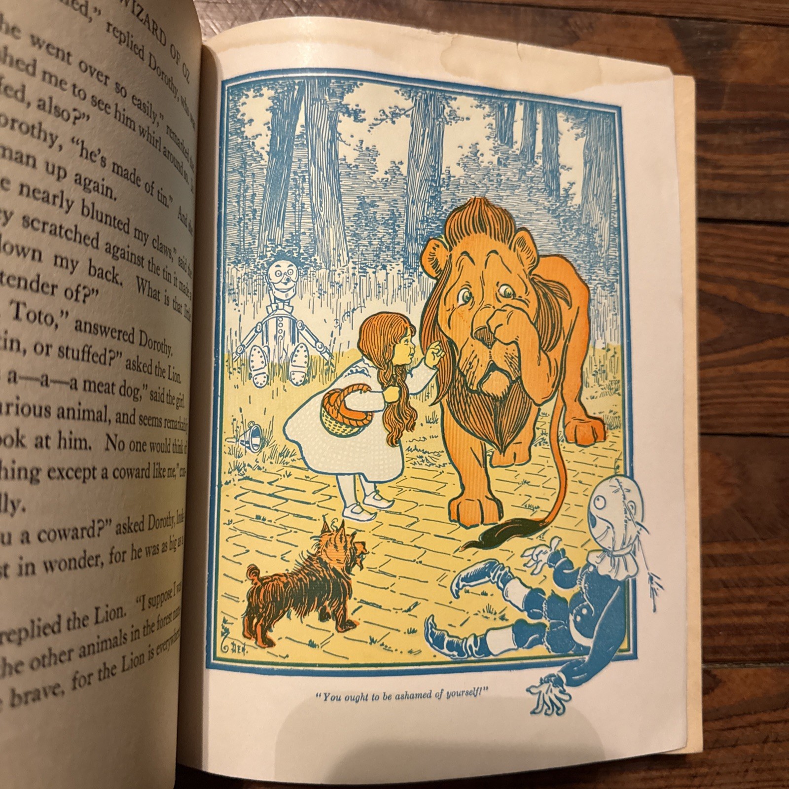 Vintage 1903 Edition of The Wizard of Oz Book by L. Frank Baum & W. W. Denslow