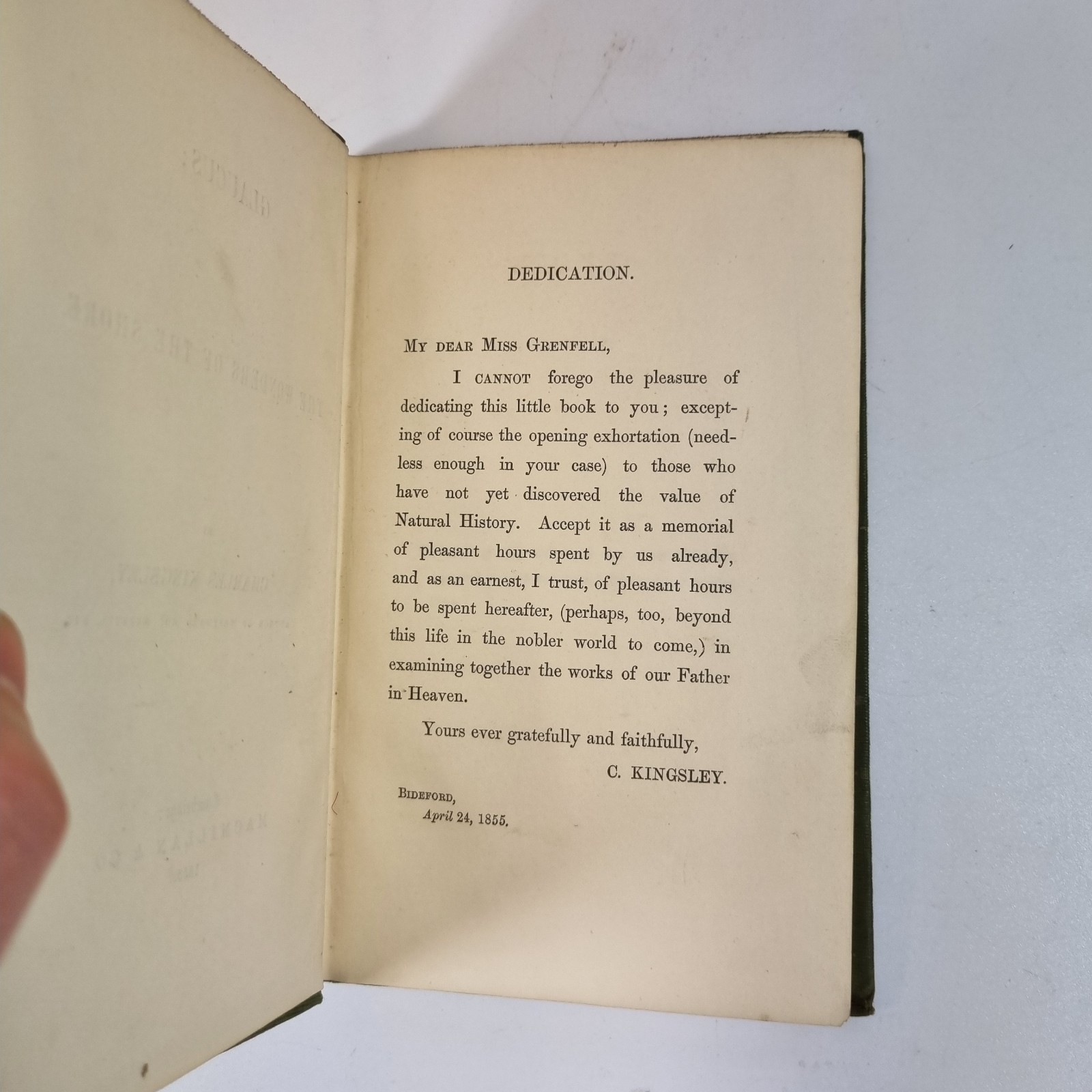 Glaucus: Or The Wonders Of The Shore By Charles Kingsley 1855 Macmillan & Co.