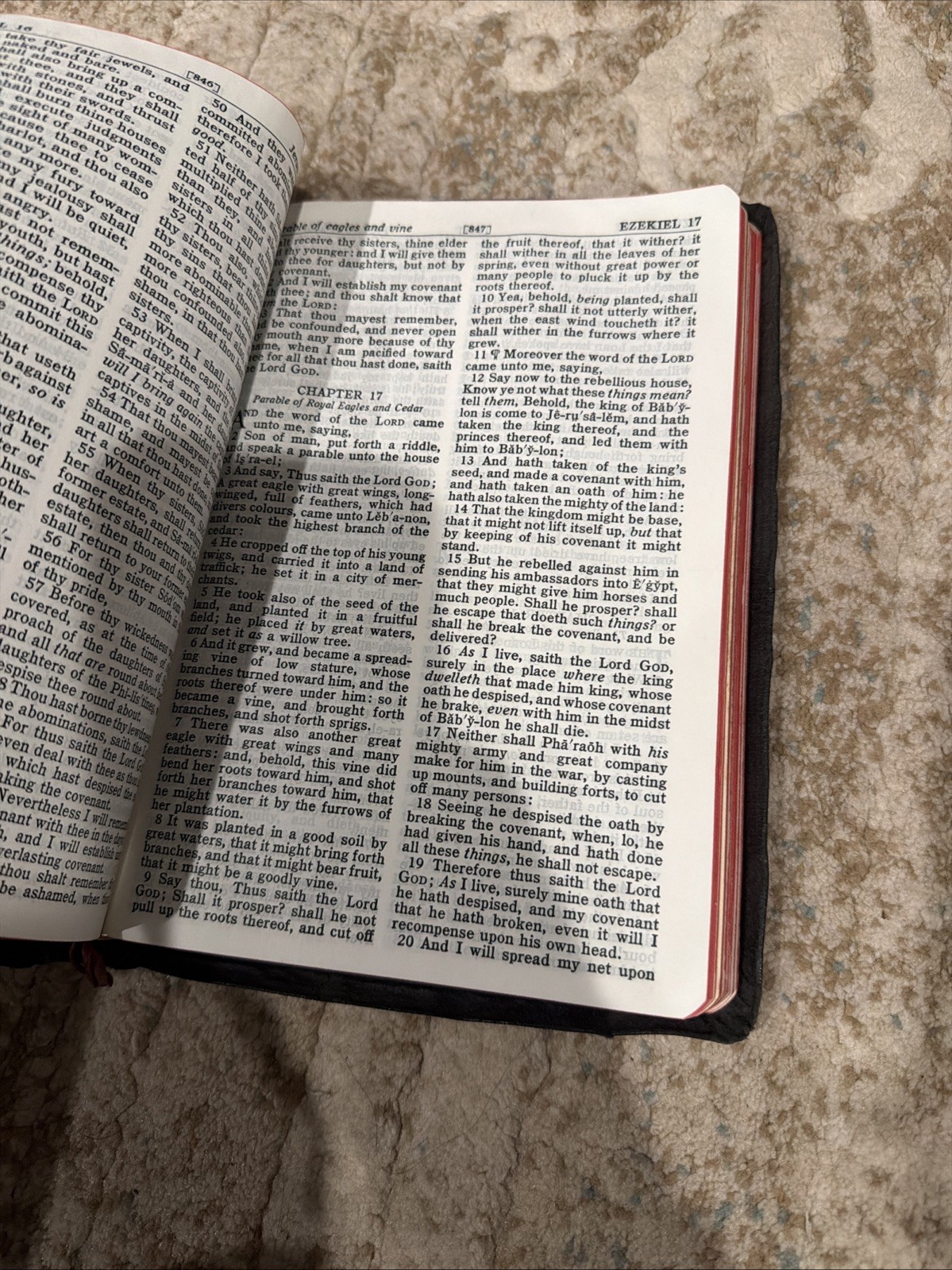 Holy Bible Self-Pronouncing Edition Leather Black – World Publishing Company