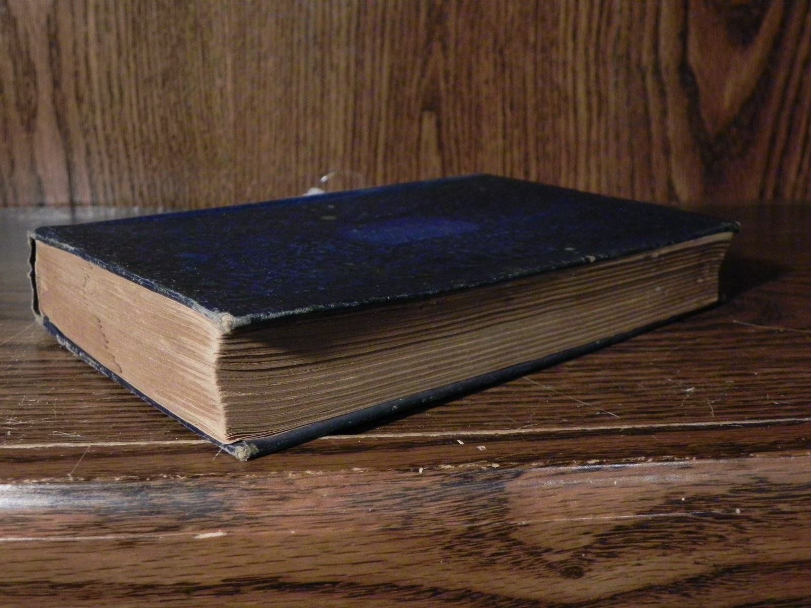 c.1890s Robinson Crusoe – Daniel De Foe – Aldine Edition – Antique Book Novel