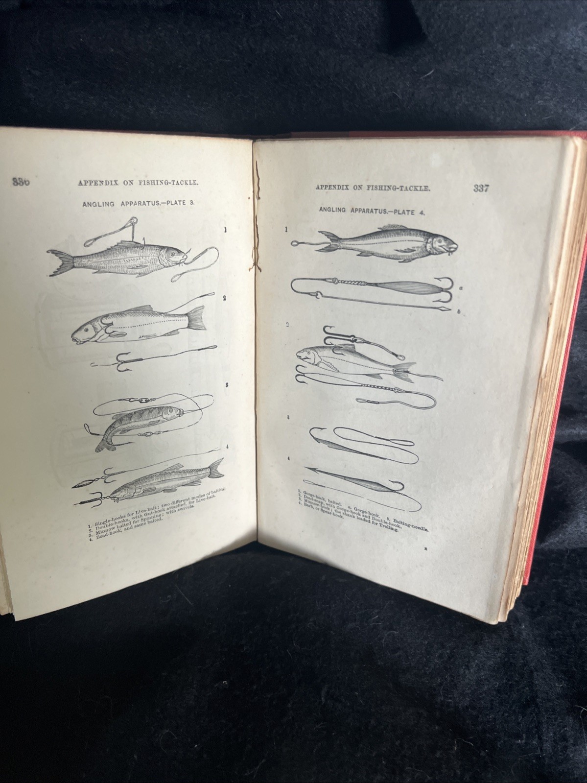 The complete Angler 1876