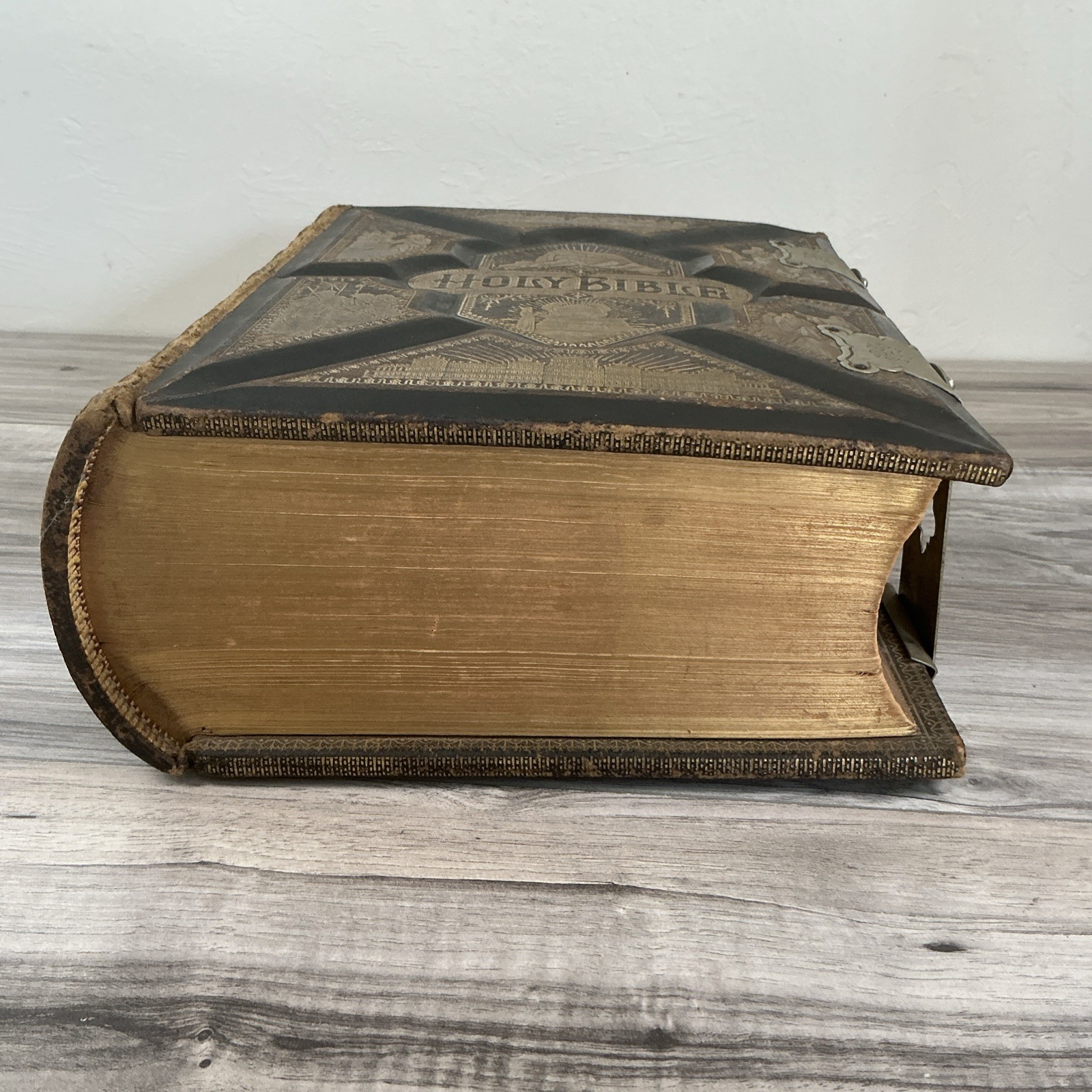 The Parallel Bible Old & New Testaments 2000 Illustrations 1885