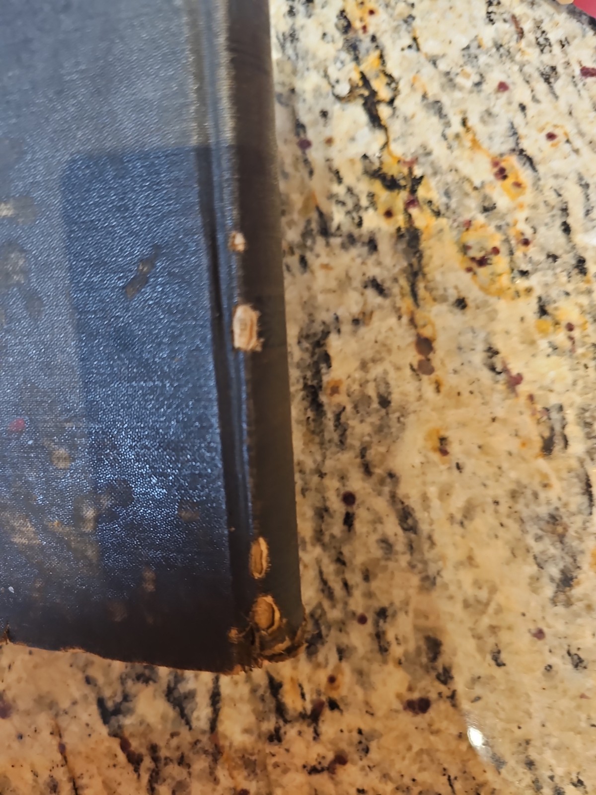 Webster’s Primary School Dictionary, 1892 HC, American Book Company, Illustrated