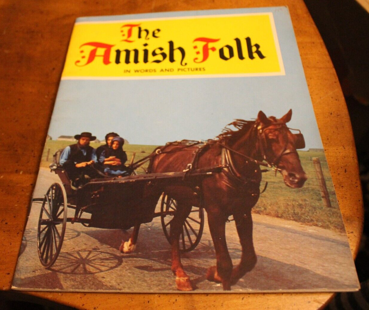 The Amish Folk: In Words and Pictures ~ 1974 SC ~ SIGNED by Author