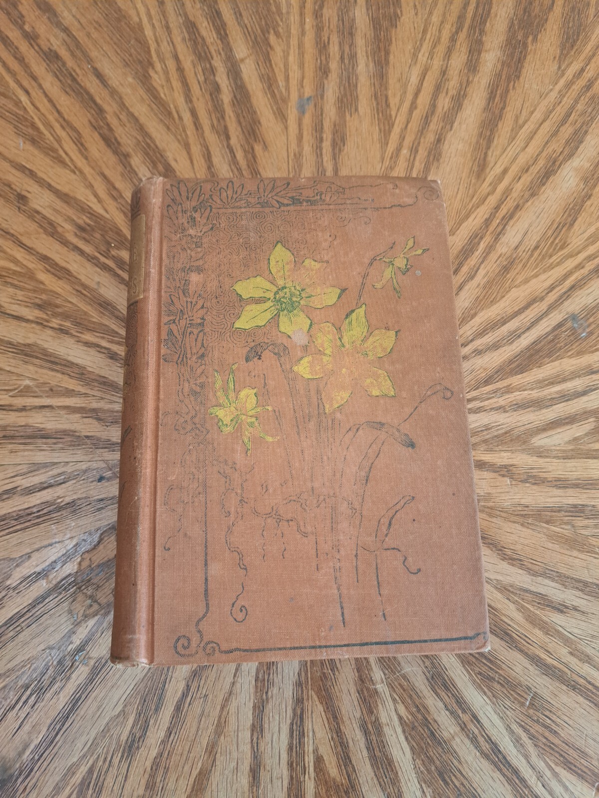 AFRICAN ADVENTURERS & ADVENTURE 1889 – Day – Illustrated