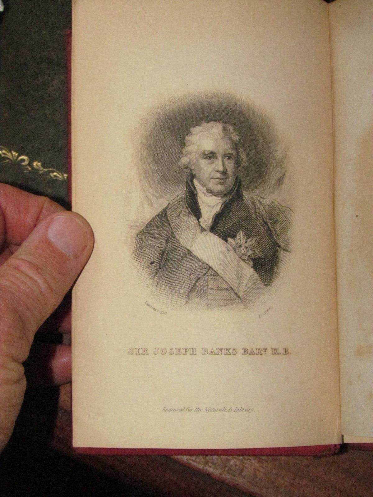 1852 FISHES OF THE PERCH FAMILY by JARDINE 33 COL PLTS NATURALIST’S ICHTHYOLOGY
