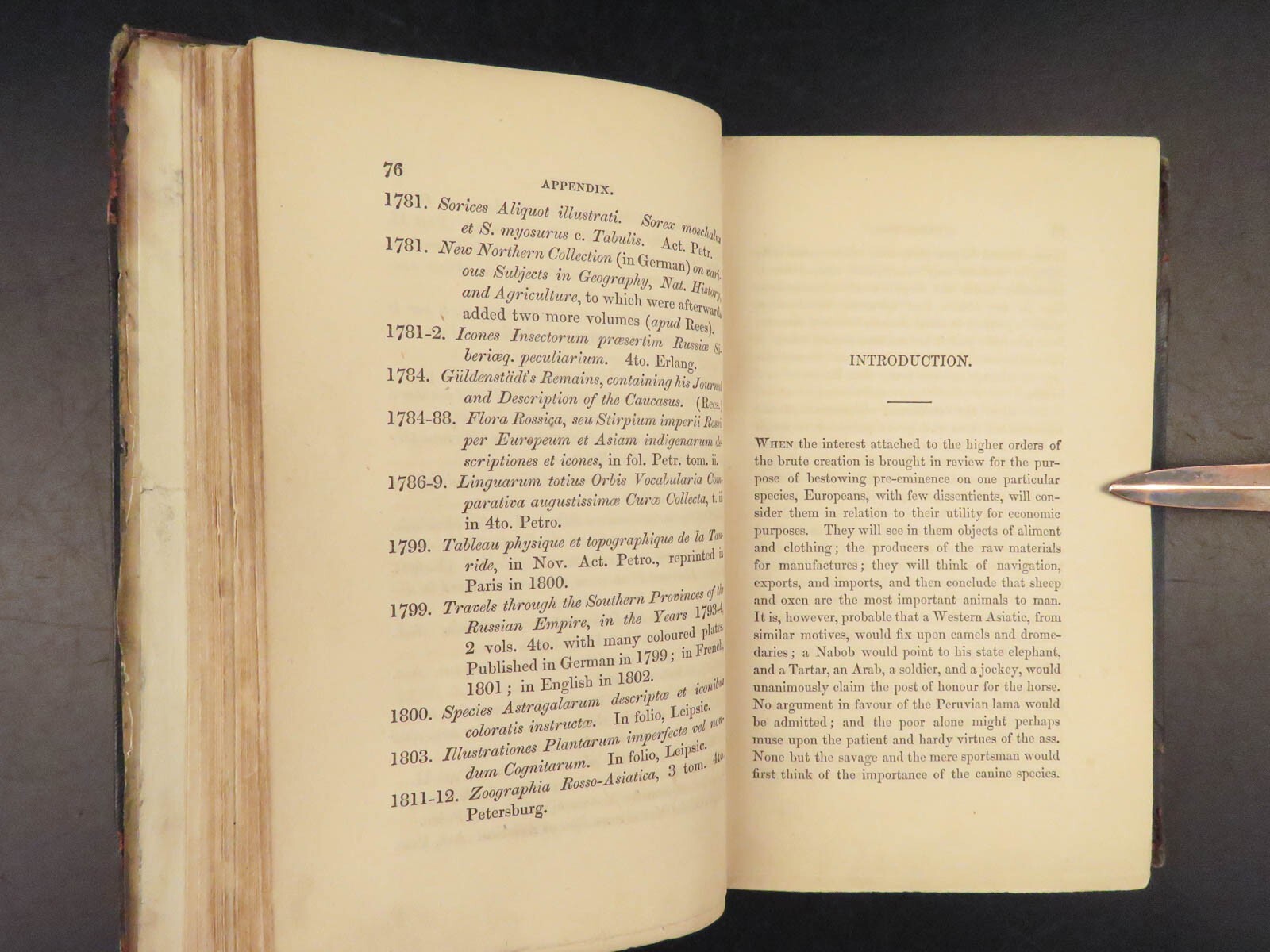 1839 DOGS & Wolves 1ed Huskies Hyenas FOX Jardine Naturalist Illustrated Canines