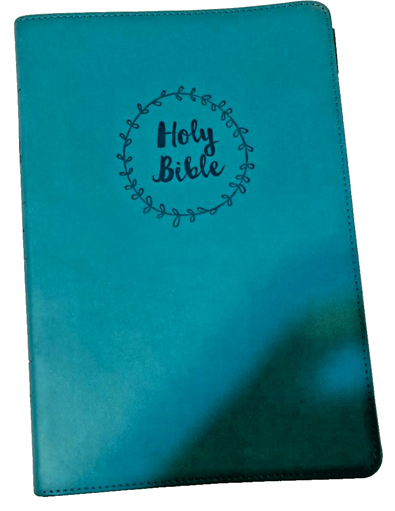 Holy Bible: New International Version NIV Value Thinline Bible, Large Print 2023