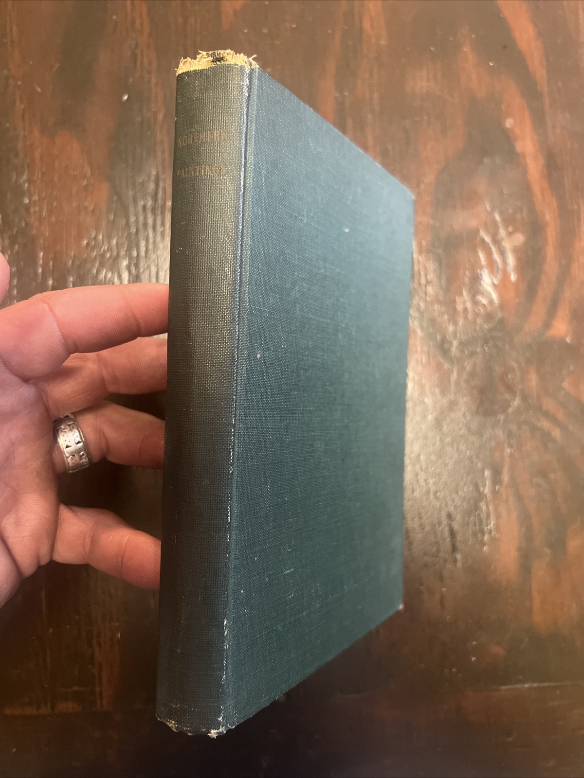 Northern Paintings University Prints Boston Fine Art Ancient rare hardback book