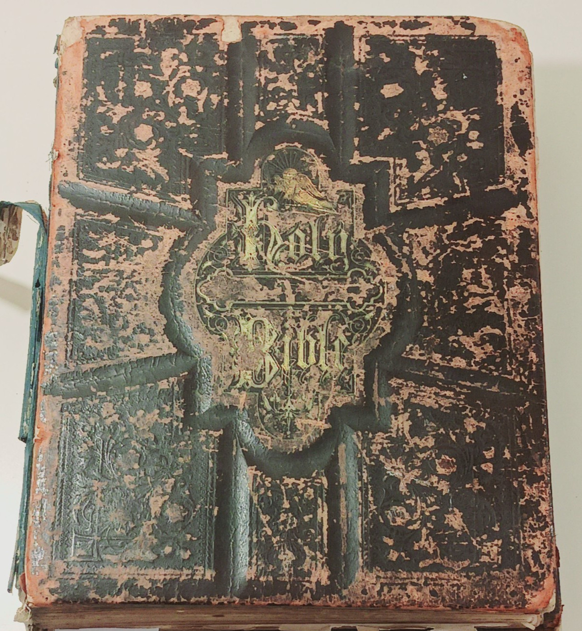 Antique 1875 A.J. Holman Family Bible Ornate Leather Photos Records Illustrated