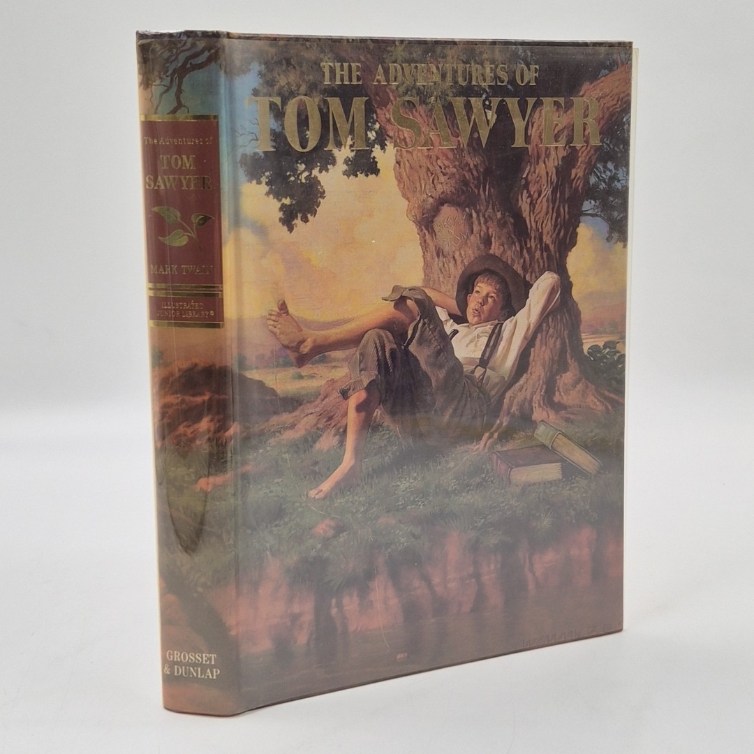 VTG 90s The Adventures of Tom Sawyer Mark Twain Illustrated Junior Library Book