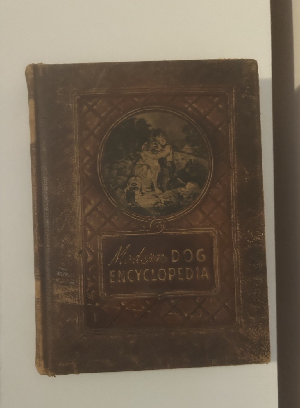 Modern Dog Encyclopedia – Henry P. Davis 1949 Rare Full LEATHER Hardcover Book