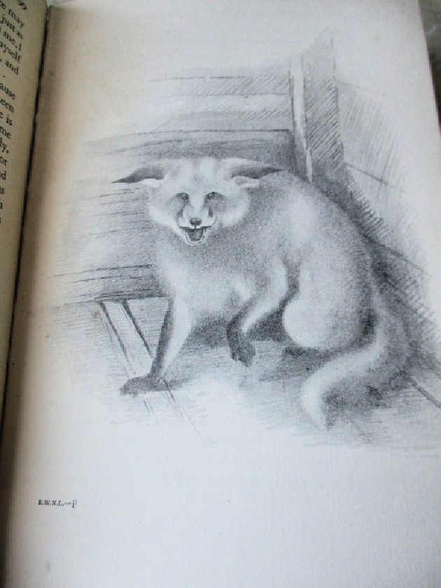 EDWARD WILSON; Nature-Lover, 1937, George SEAVER, 1st ED., Illustrated