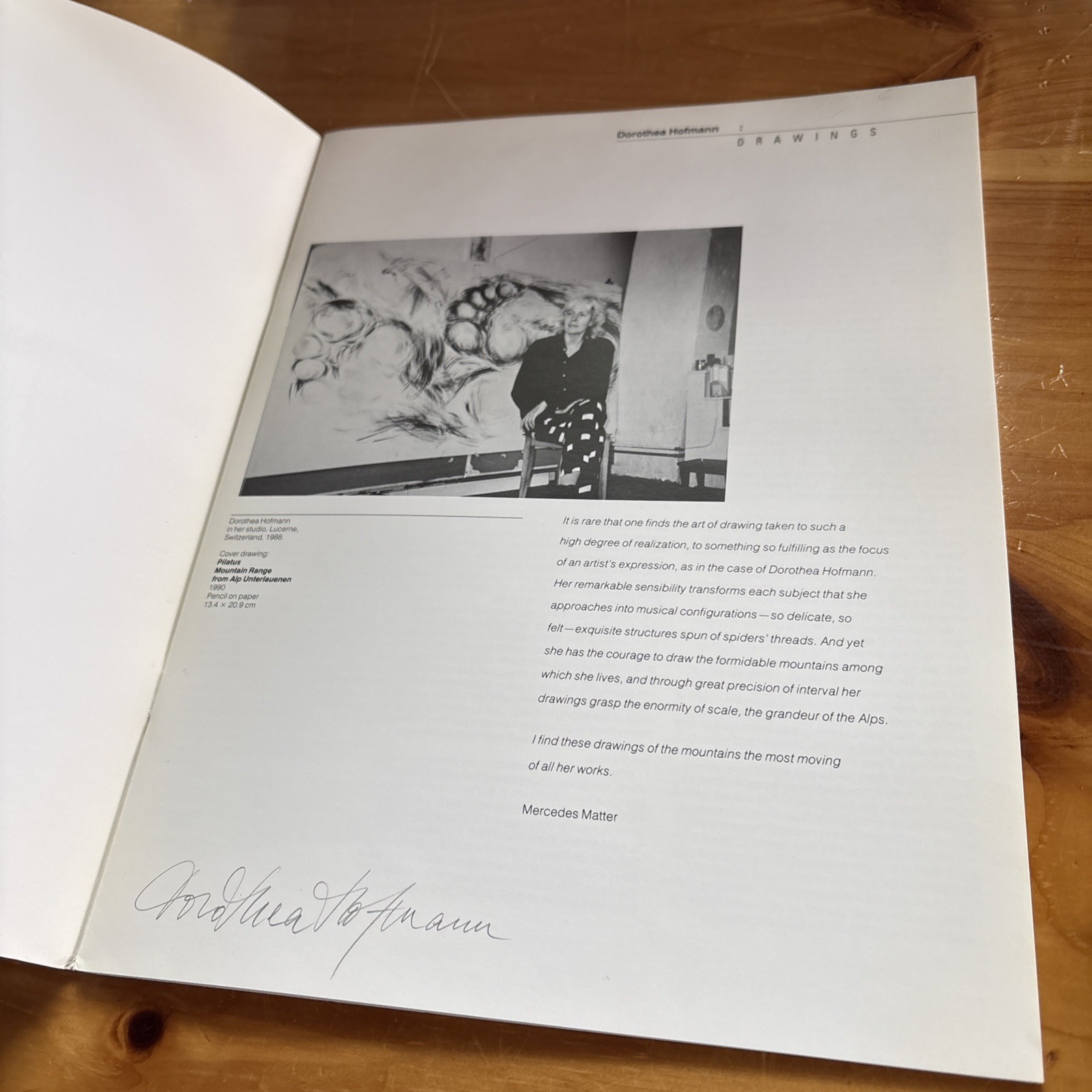 Dorothea: Hofmann Drawings Signed 1990s Catalog – Mercedes Matter