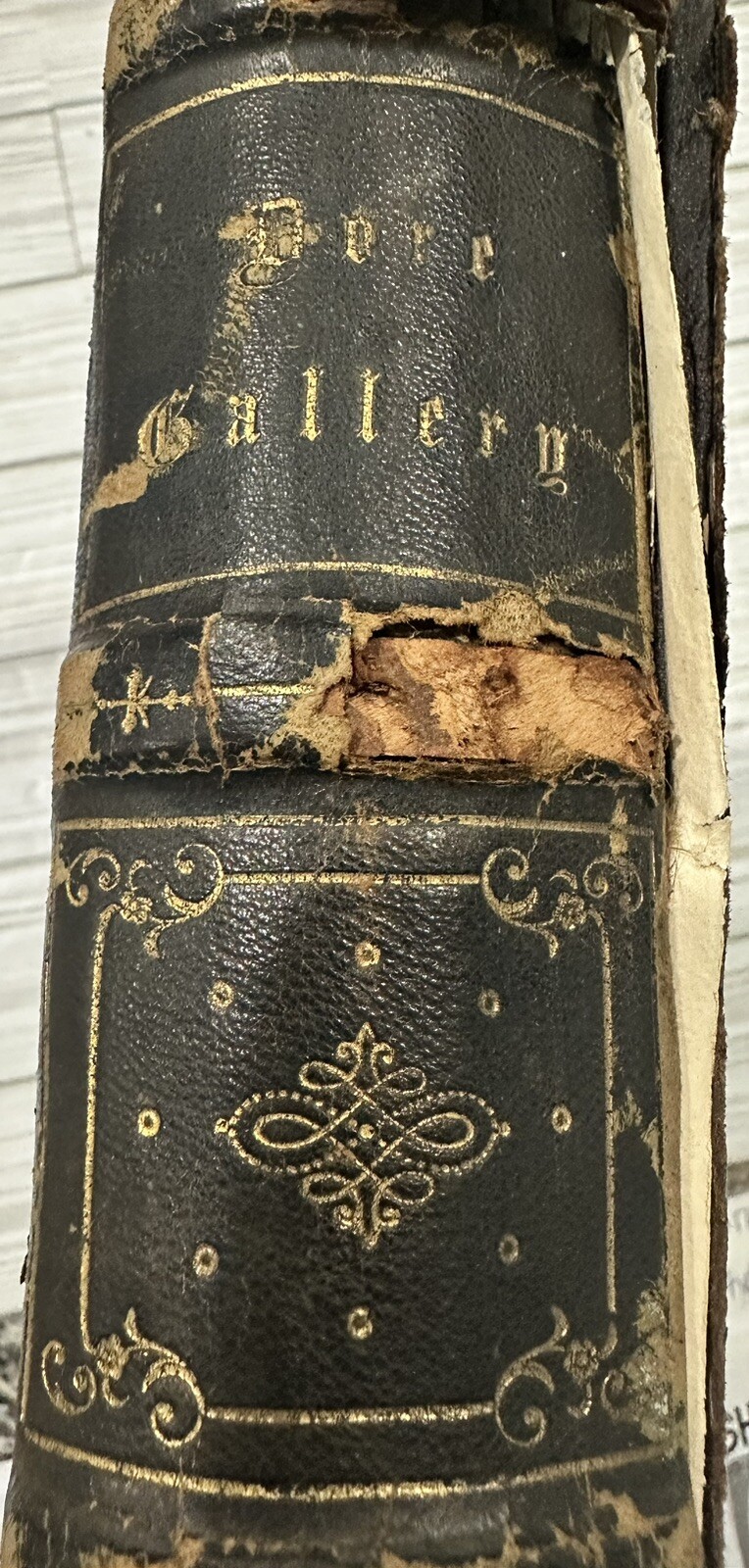 RESERVED Vintage Vol 1 & 2 Antique Gustave Dore Gallery Book Rare!