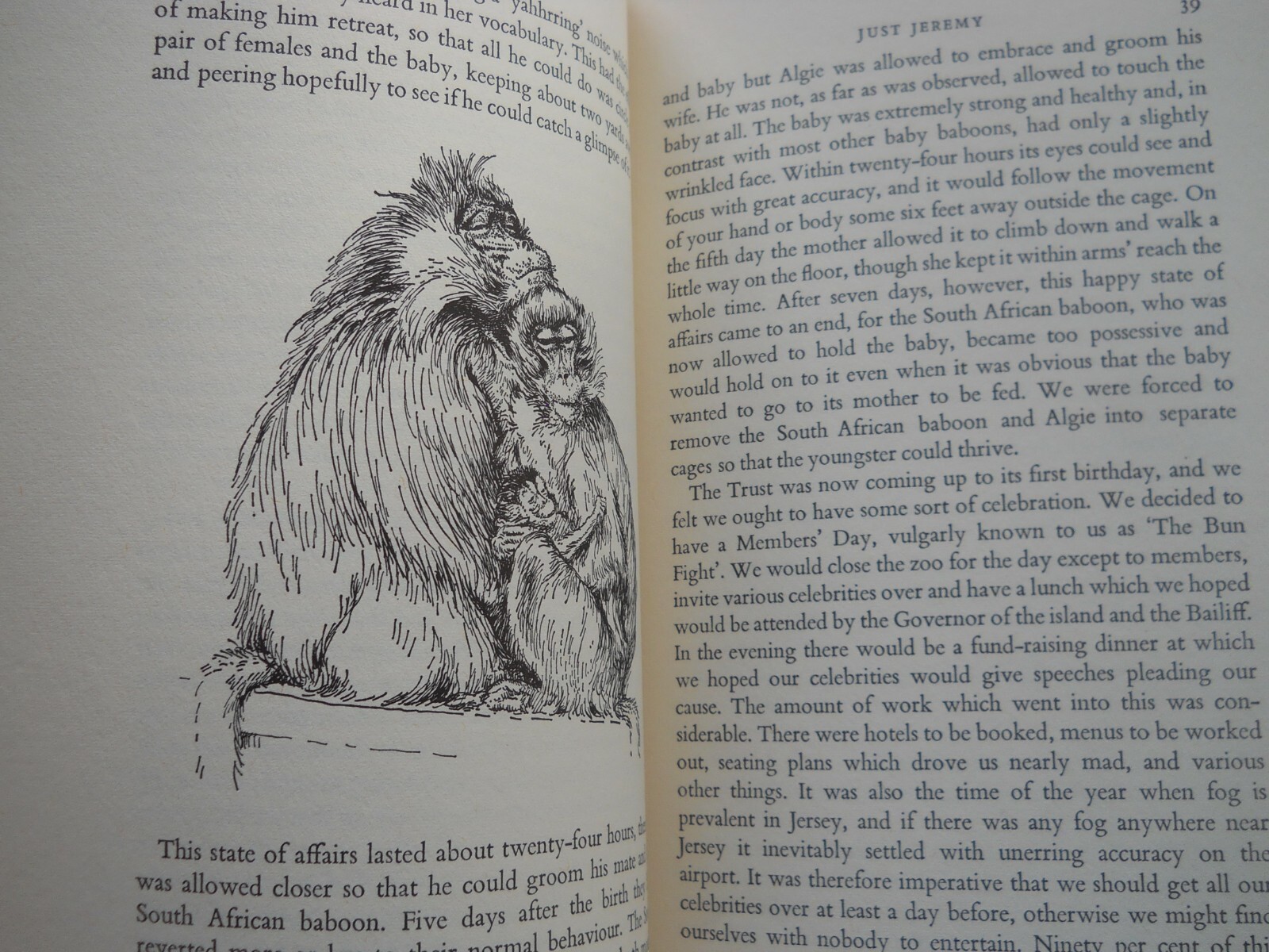 CATCH ME A COLOBUS GERALD DURRELL