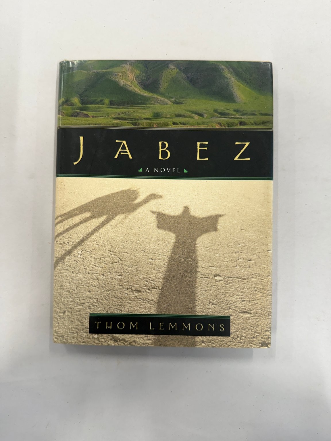 Jabez A Novel by Thom Lemmons Biblical Fiction 2001 Paperback