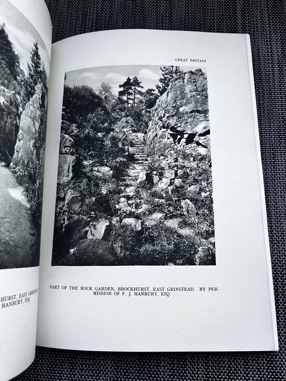 Modern Gardens British and Foreign „The Studio“ 1926-1927 Percy Cane Gardens Ill