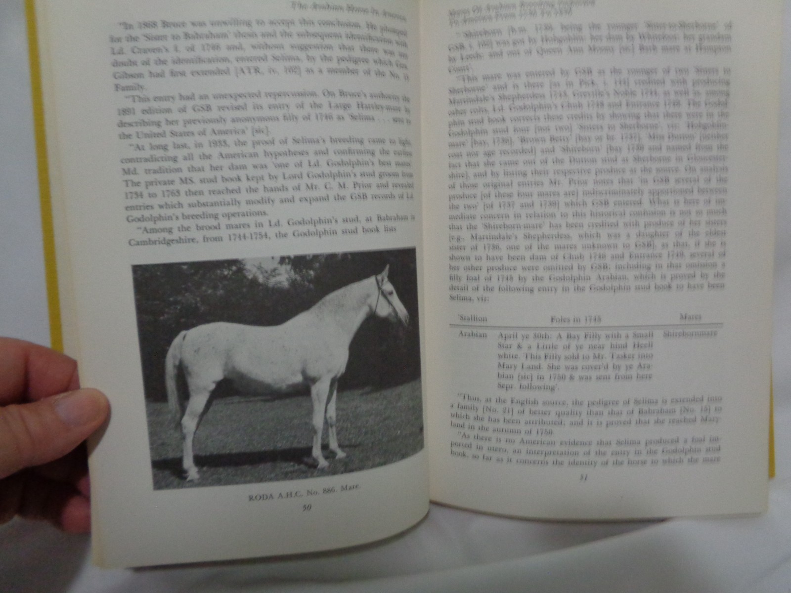 1st Arco Printing Arabian Horse in America History Conn Original Dustcover