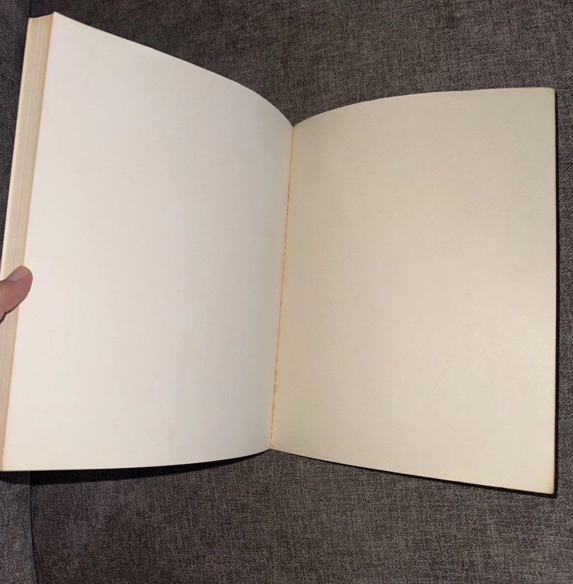 While Aggressively Waiting by Steven Boldt (1978) 1st Ed Ithaca Gay Liberation