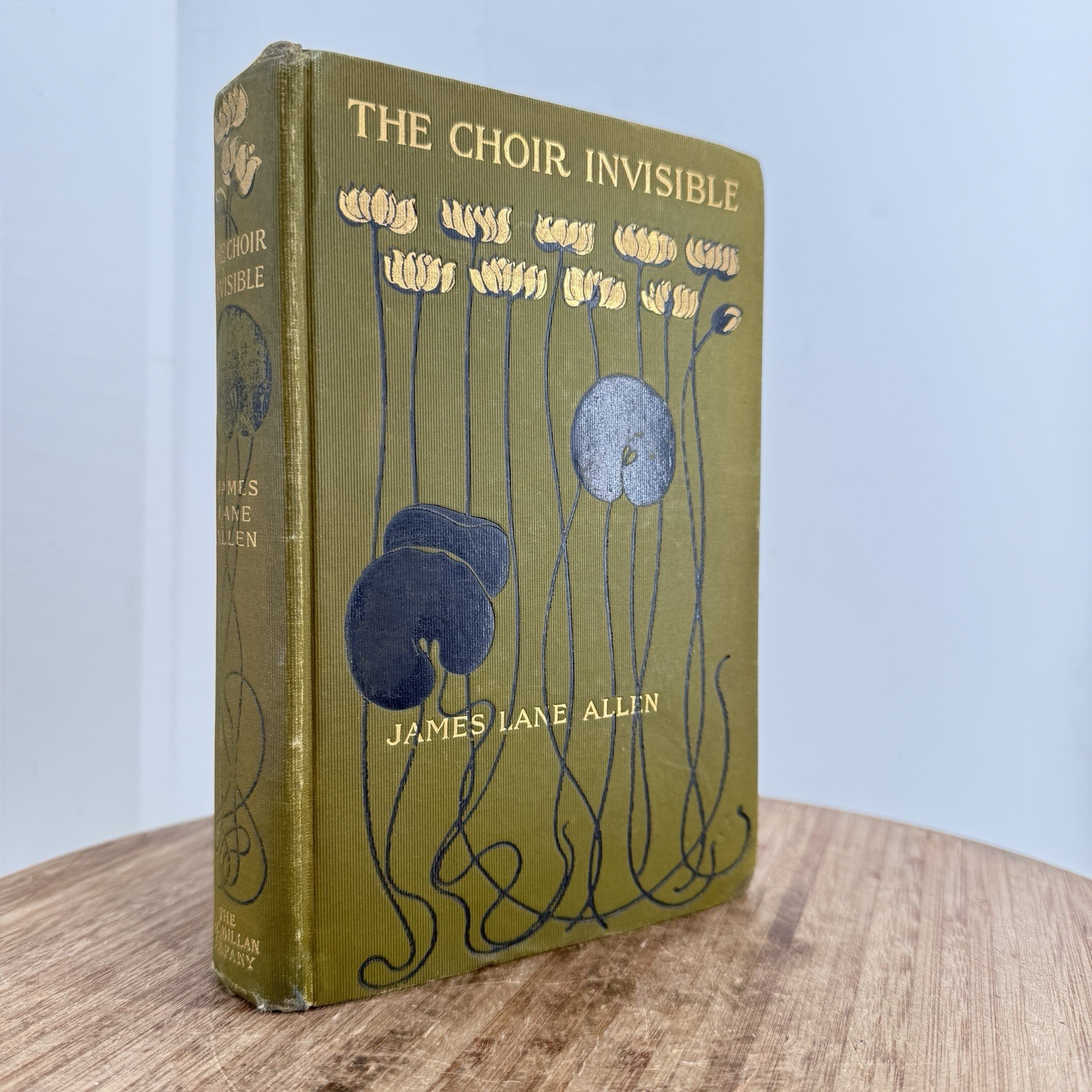 The Choir Invisible James Lane Allen 1900 Illustrated antique book