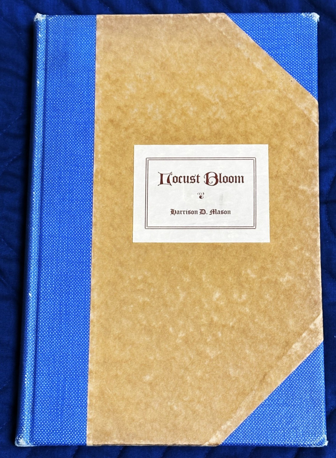 Harrison D Mason / LOCUST BLOOM LITTLE STORIES OF THE OHIO RIVER HILLS 1st 1924