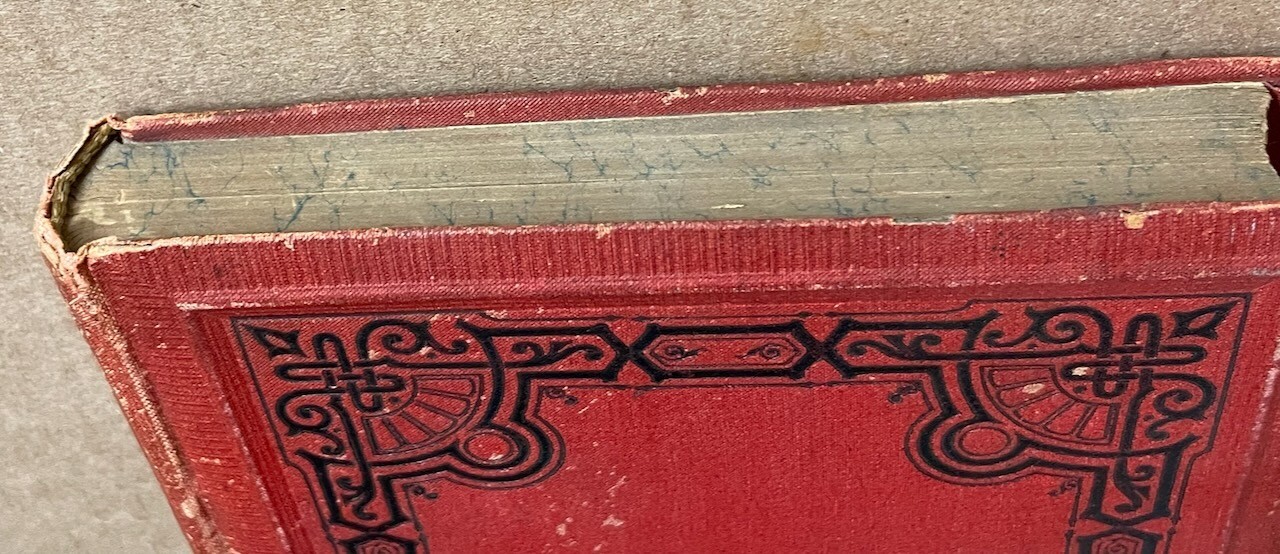 Neues Illustrirtes Schweizer Kochbuch [New Illustrated Swiss Cookbook] 1876