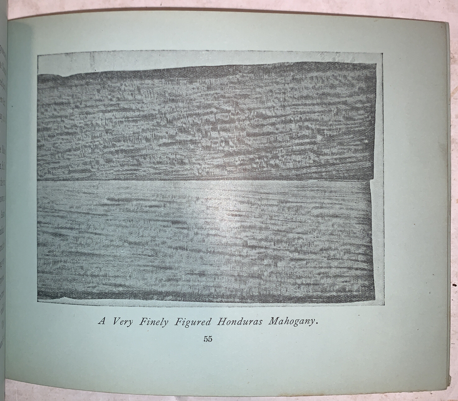 A VENEER IN MAKING, by LESLIE C W JENKINS, 1930s, WOODWORKING, LUMBER