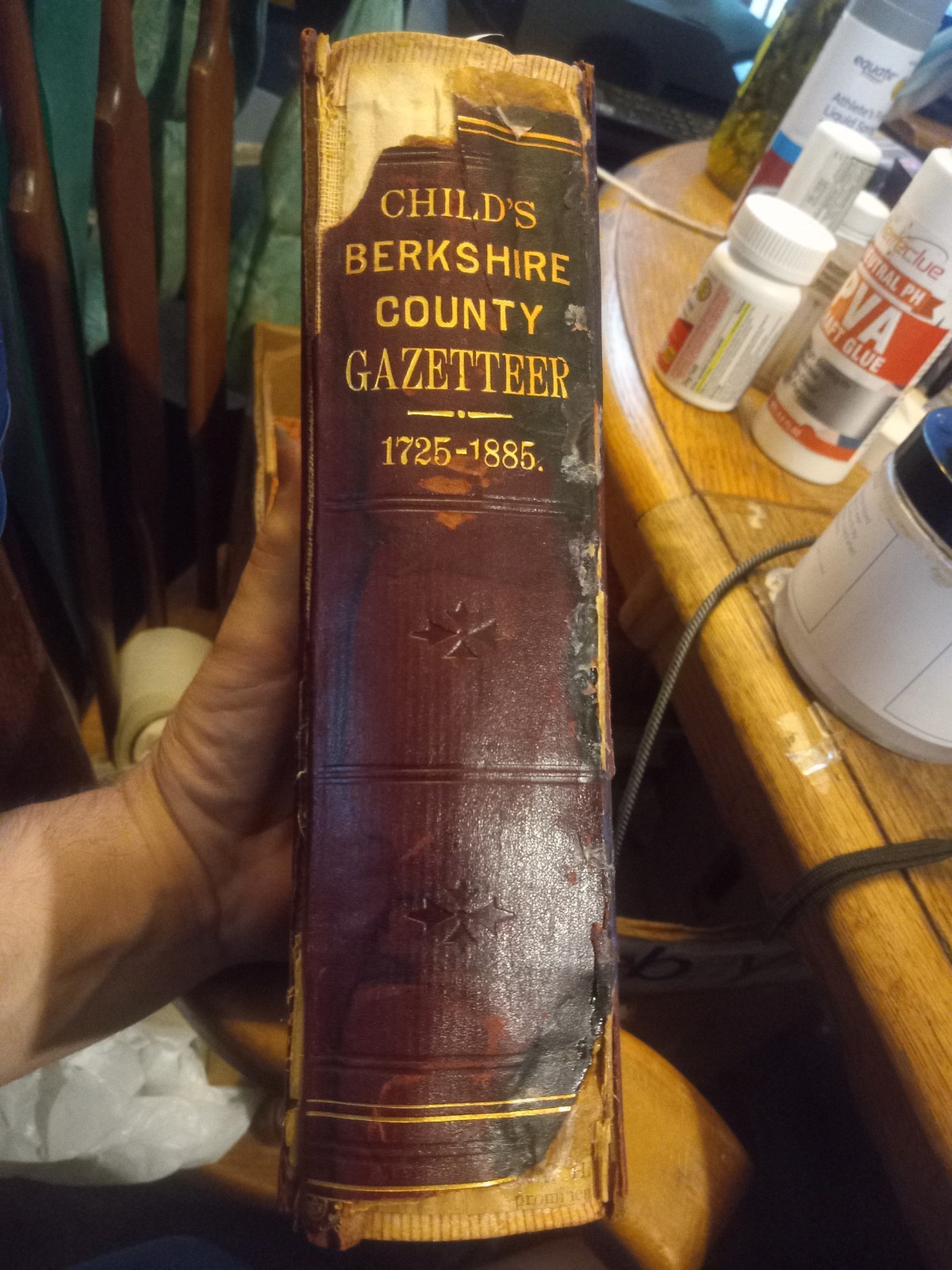 1885 HAMILTON CHILD’S GAZETTEER & DIRECTORY OF BERKSHIRE COUNTY MASSACHUSETTS