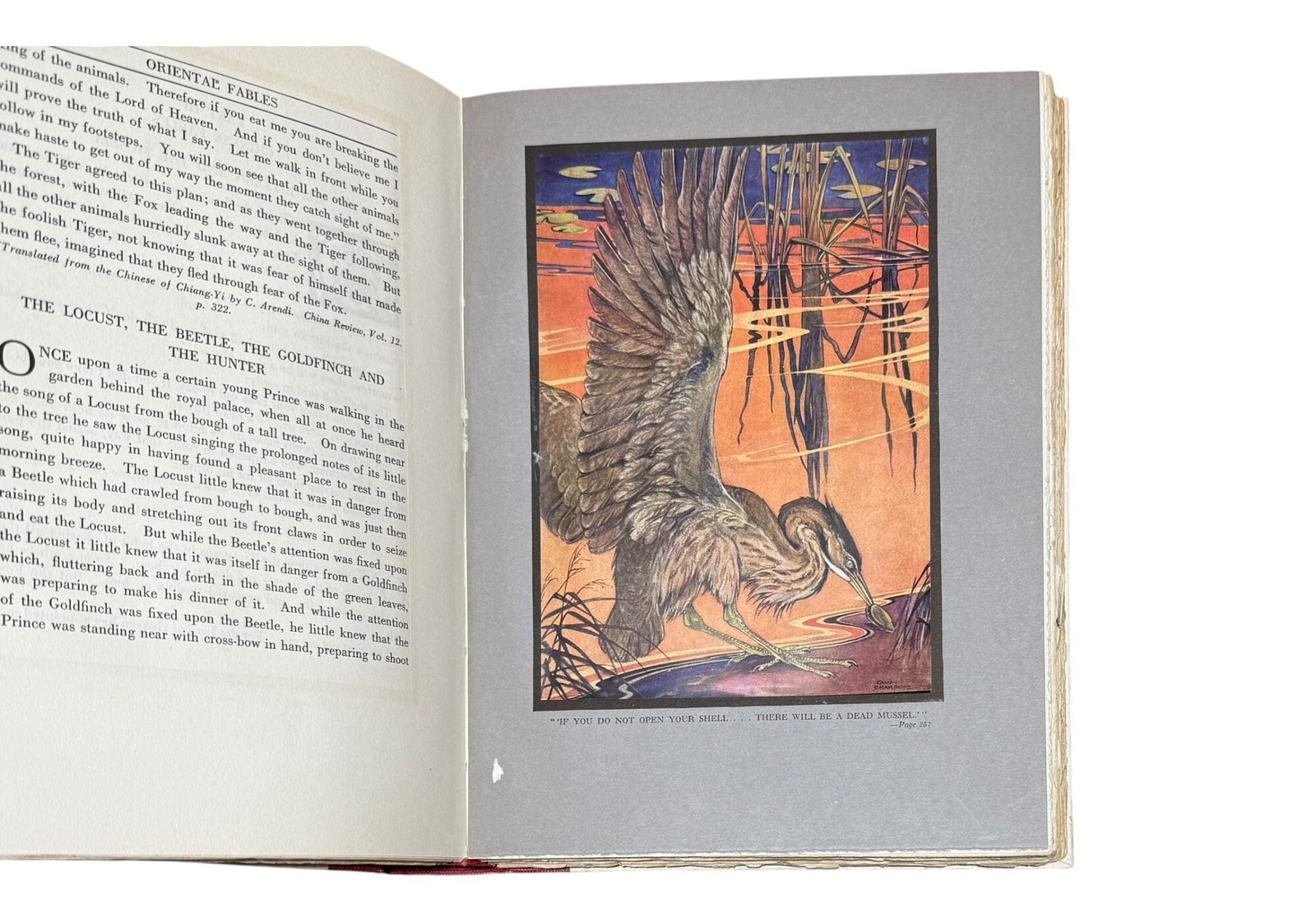 Paul Bransom, Frederic Taber ed Cooper / Argosy of Fables Signed 1st ed 1921