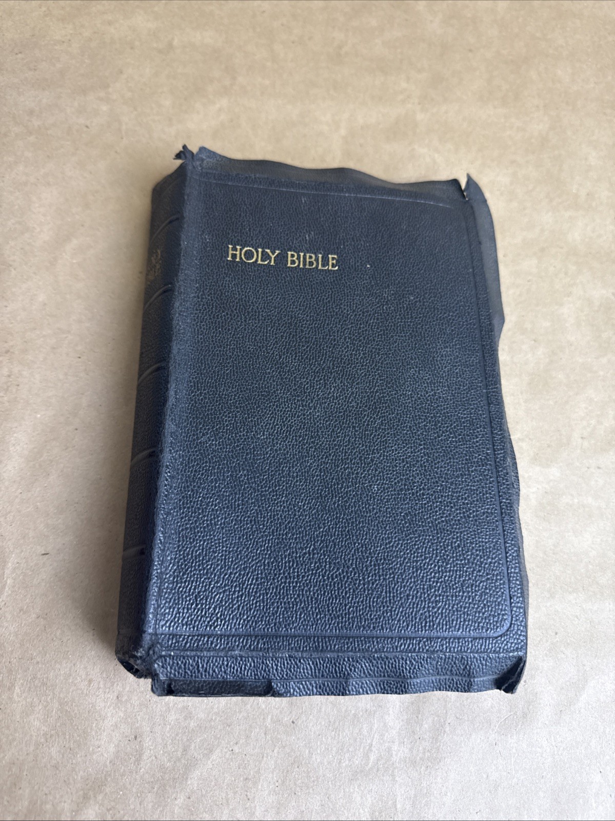 Holy Bible Italics Letter Edition King James Version New & Old Testament Undated