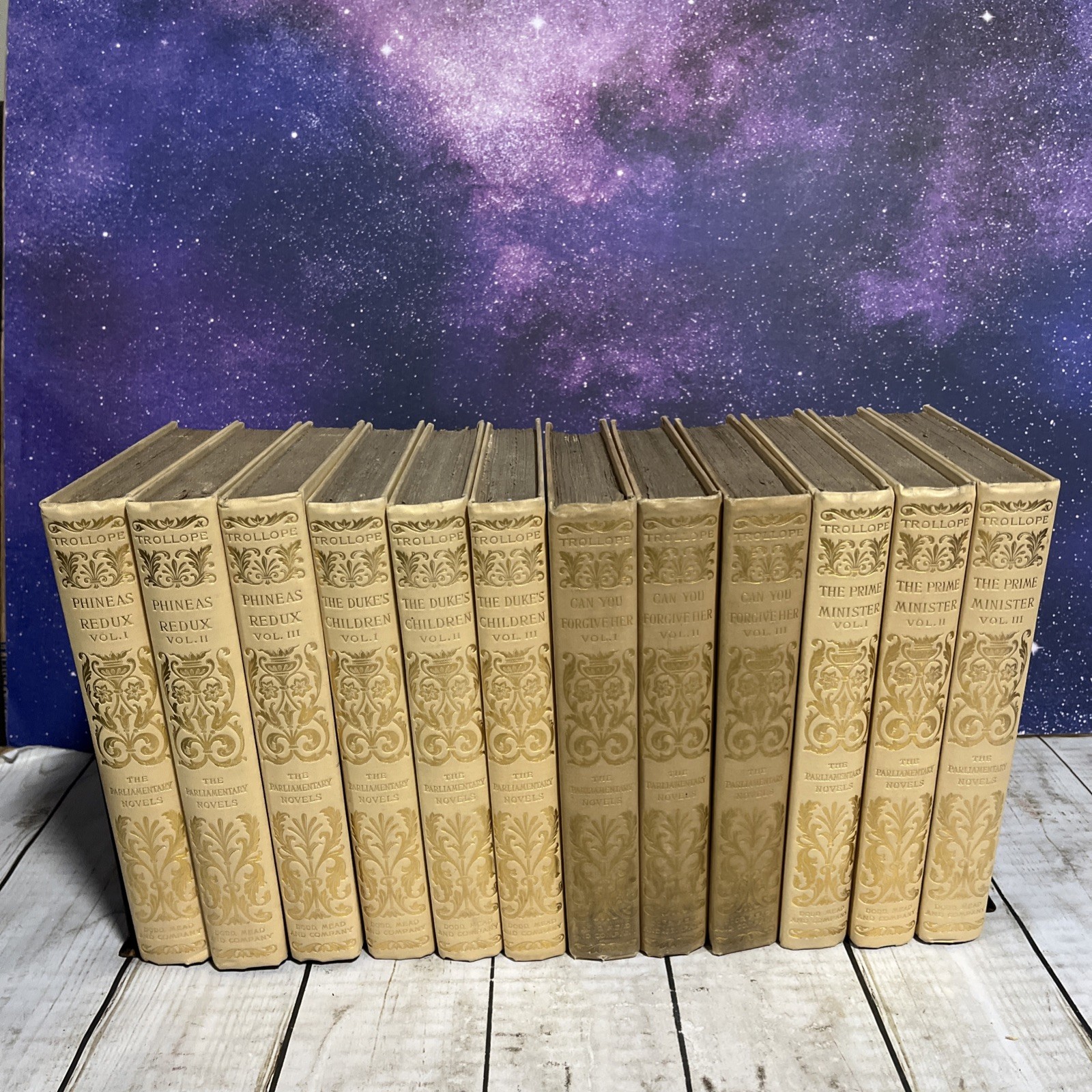 Antique 1893 – Lot Of 12- THE PARLIAMENTARY NOVELS BY Anthony Trollope – Decor